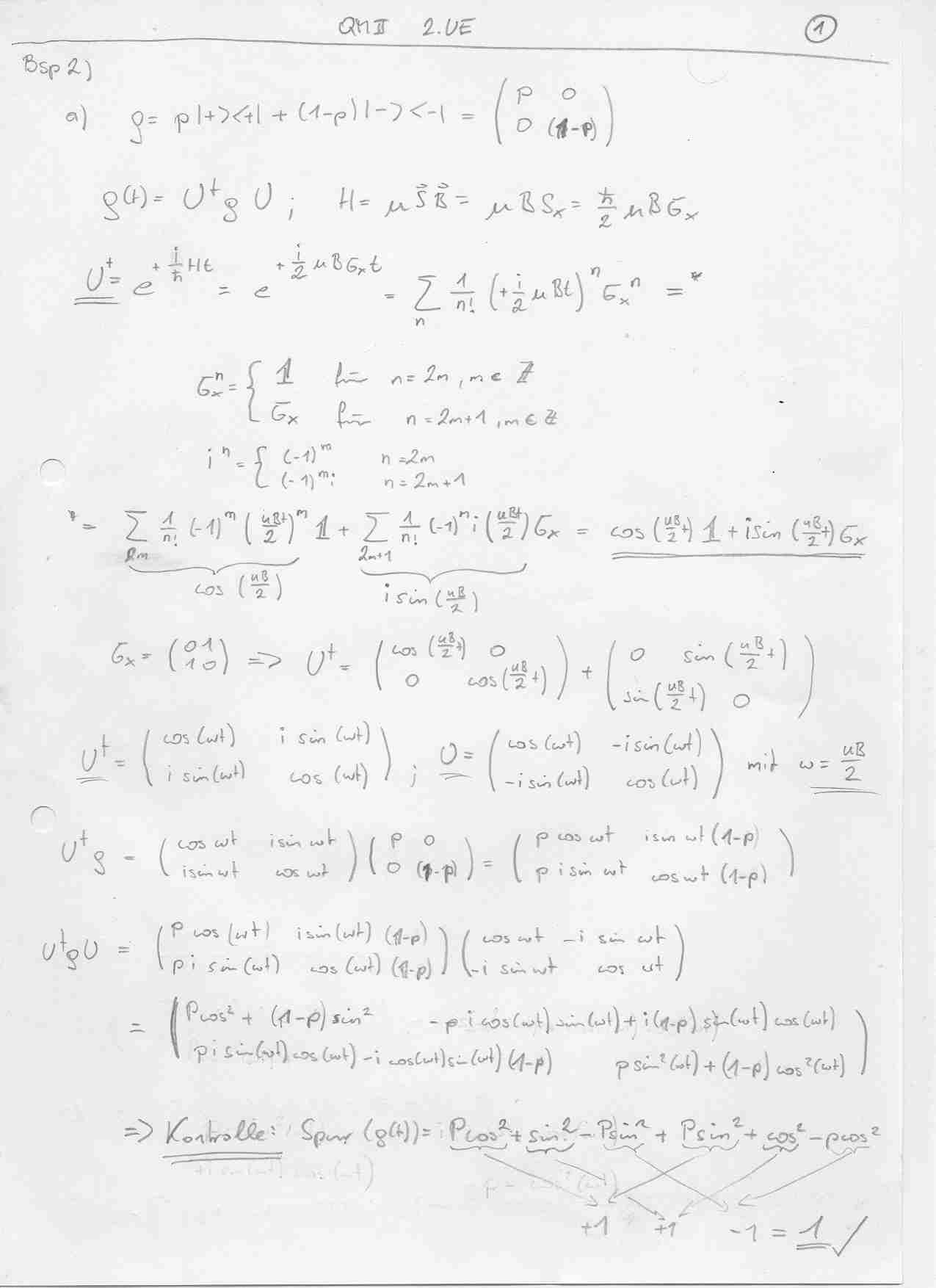 QMII_2.Tutrium.jpg