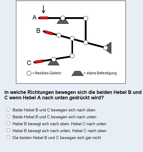 16.JPG