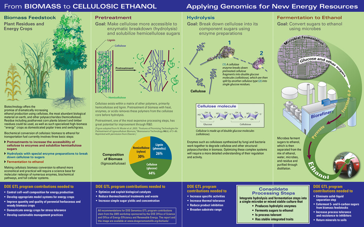 cellulose ethanol_production.jpg