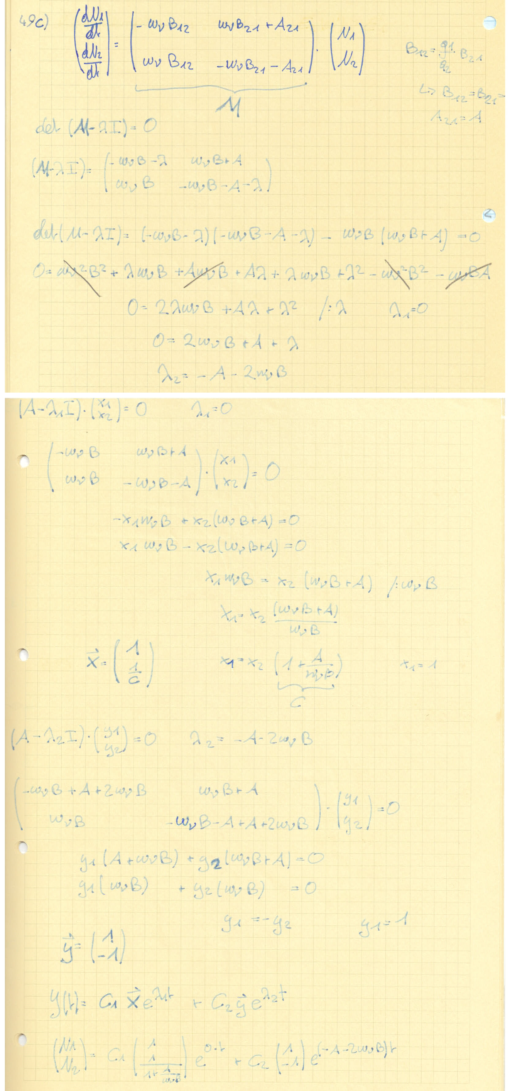 Bsp. 49c) DGL Matrixmethode.png