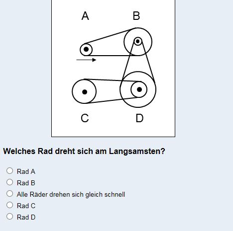 7.JPG